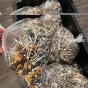 Shrooms. Beautifully, organically grown